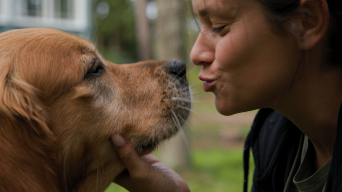 Golden Retrievers And Palomino Ponies To The Rescue: In ‘After The Rain,’ Ukrainian Children Abducted By Russia Find Healing With Help From Animals. By Matthew Carey